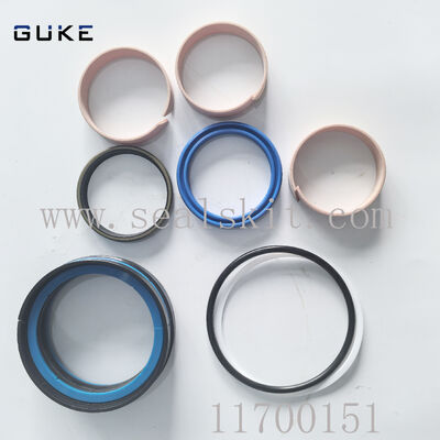 Giá tốt V-O-L-V-O Đường kéo khớp A40 A30 BM Hydraulic Cylinder Repair Seal Kit Voe11700151 trực tuyến