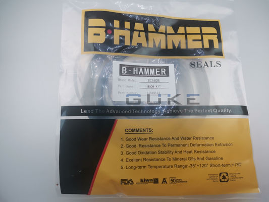 Giá tốt Bộ làm kín bình sửa chữa xi lanh  EC460 BOOM VOE 14589143 trực tuyến