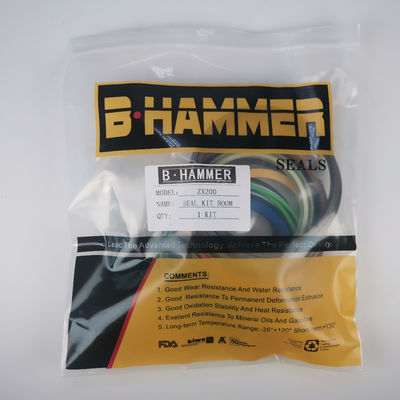 Giá tốt Bộ dụng cụ làm kín xi lanh máy xúc Hitachi ZX 200 HIT 4448398 4661485 trực tuyến